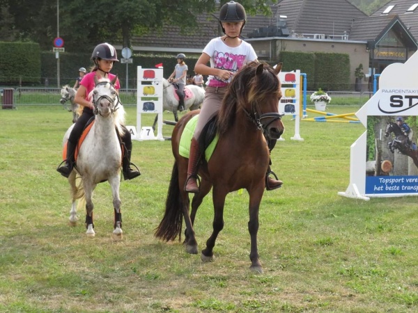 Kinderpony's te koop Boerderij de