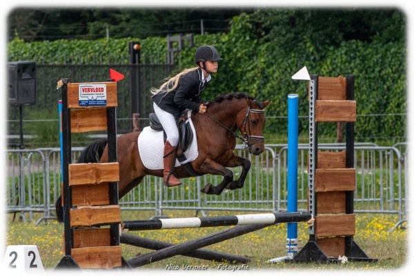 overschrijving Hoes landheer Kinderpony's te koop | Boerderij de Ettingen