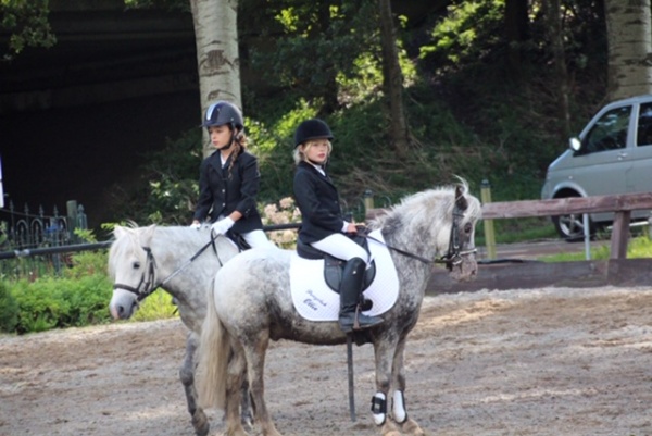 overschrijving Hoes landheer Kinderpony's te koop | Boerderij de Ettingen