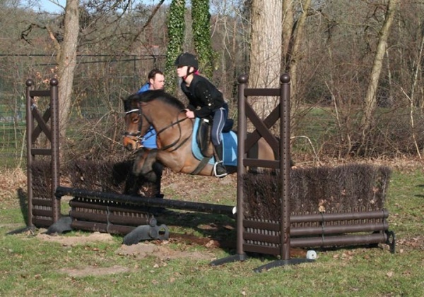 Kinderpony's te koop Boerderij de